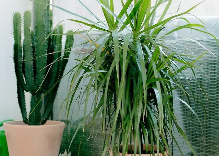 Appartamento Mi - Old Town Heart-terrace&castle View