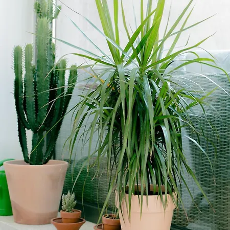 Апартаменти Mi - Old Town Heart-terrace&castle View